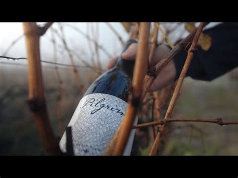 Pilgrim Wines By Henry Kotze Chenin Blanc Youtube