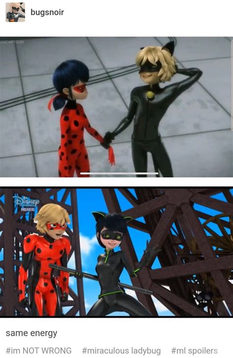 Miraculous Ladybug Tales Tv Shows Fanart Cat Zelda Characters