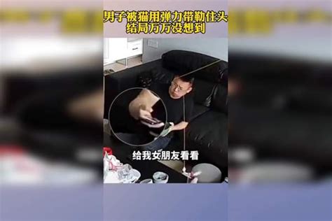 男子被猫用弹力带勒住头，结局万万没想到。结局弹力男子