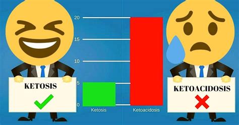 Ketosis Vs Ketoacidosis Whats The Difference And Risks Atketo