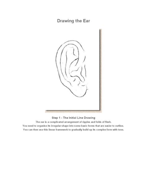 PDF Drawing The Ear DOKUMEN TIPS