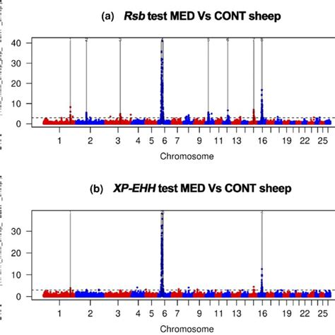 Manhattan Plots Showing The Results Of Rsb And Xp Ehh Tests For The