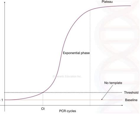 Real Time Pcr Principle Procedure Advantage Limitations And Applications Artofit