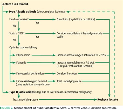 [pdf] Lactic Acidosis Clinical Implications And Management Strategies Semantic Scholar