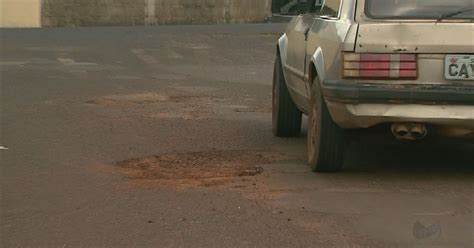 G1 Contra buracos morador planta árvores no meio da rua em