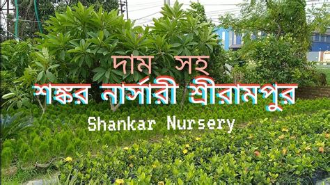 Cheapest Plant Nursery Visit In Srirampur Hooghly With Price Youtube