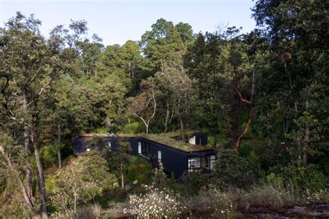 Cadaval And Solà Morales Casa De La Roca Hides In Mexican Woodland