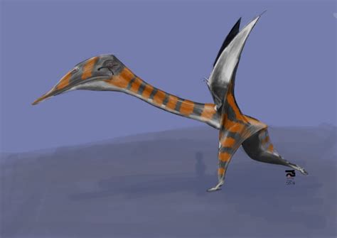 The Quetzalcoatlus Northropi Xenoglyph