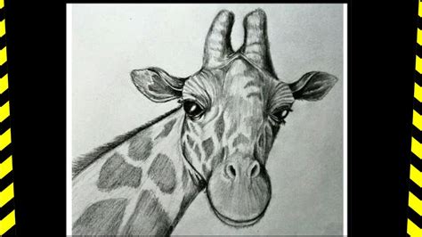 Time Lapse Of Giraffe Drawing With Pencil Shading Animal Drawing