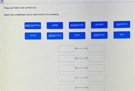 Solved Drag Each Tille To The Correct Box Match The Underlined Root