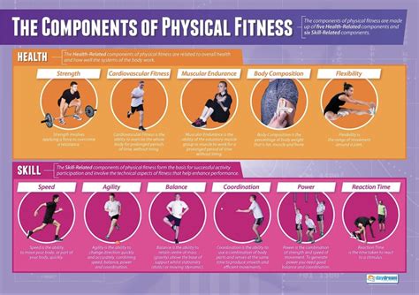 Pe The Components Of Physical Fitness Info Health And Physical