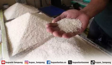 Kupas Tuntas Beras Langka YLKI Lampung Singgung Bansos Jelang Pemilu