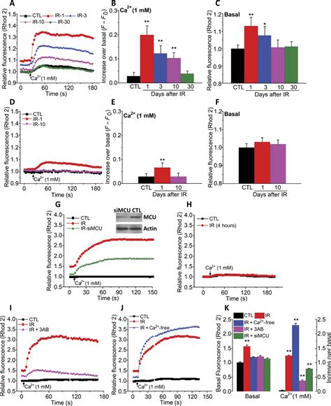 Radiation Inhibits Salivary Gland Function By Promoting STIM1 Cleavage