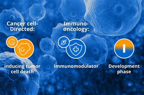 Inoncologyes El Portal De Boehringer Ingelheim Sobre Oncología