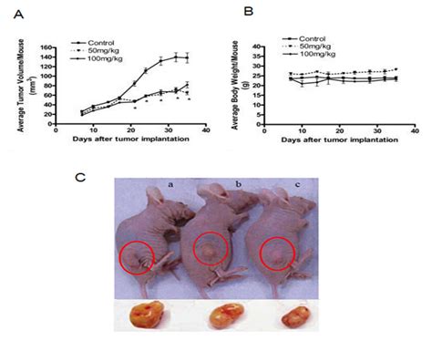 Nutrients Free Full Text Dietary Crocin Is Protective In Pancreatic