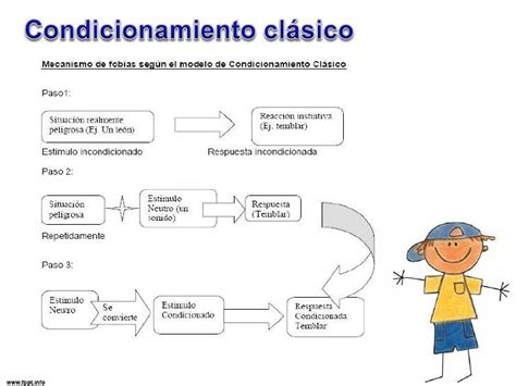 Condicionamiento Clásico De Pavlov Mind42