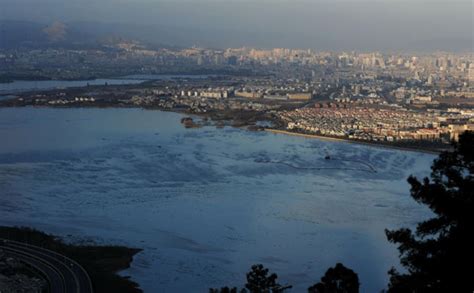 Dian Lake In Yunnan Is Clean Again 1 Cn