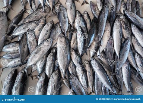 Heaps Of Fresh Fish Caught By Fishermen Being Sold In Traditional