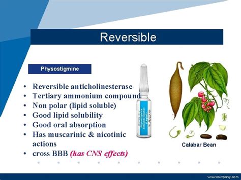 Autonomic Nervous System Cholinergic Agonists Cholinomimetics Ph D