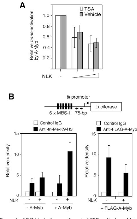 Figure From The Wnt Nlk Signaling Pathway Inhibits A Myb Activity By