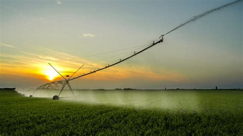 Irrigação por aspersão o guia completo para sua lavoura Syngenta Digital