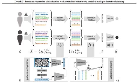 Modern Hopfield Networks And Attention For Immune Repertoire