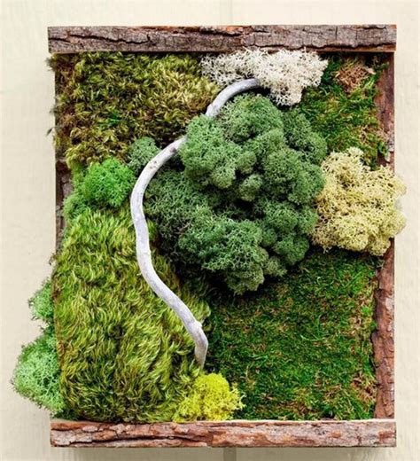 7 DIY Moss Wall Art Ideas For Indoor And Outdoor The Newlywed