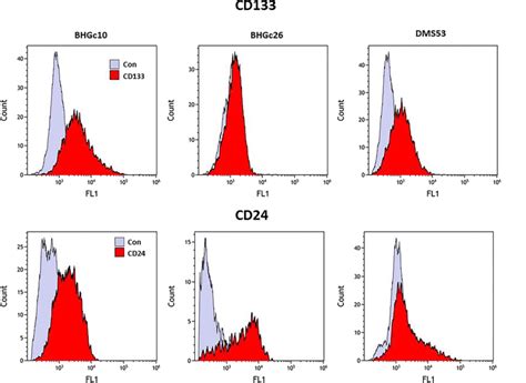 Flow Cytometric Histograms Of Cd133 And Cd24 Expression Of Sclc Cells