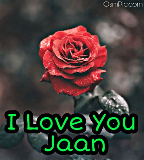 Top 50 I Love You Janu Status Images Pics With I Love You Jaan Photos