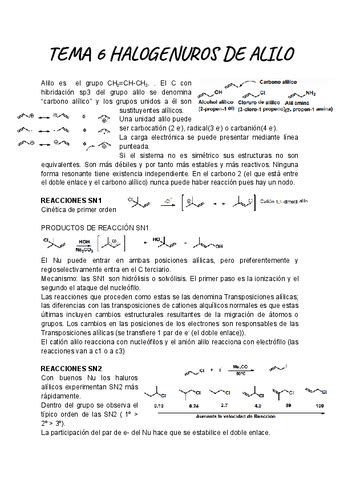 Tema Organica Pdf