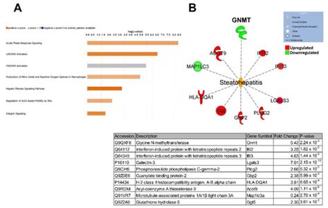 IJMS Free Full Text Dysregulation Of S Adenosylmethionine