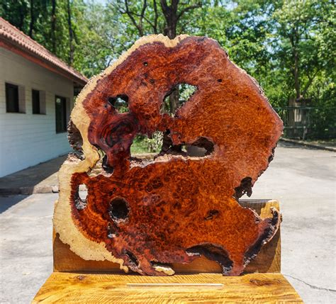 Rare Red Amboyna Burl Lumber Live Edge Diy Woodwork Resin Epoxy Table