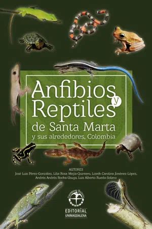 Pdf Anfibios Y Reptiles De Santa Marta Y Sus Alrededores Colombia De