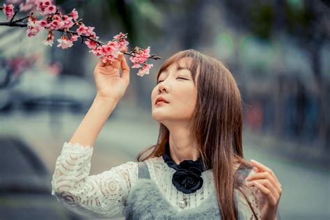 4k Flowering Trees Asian Bokeh Branches Brown Haired Sakura Hd