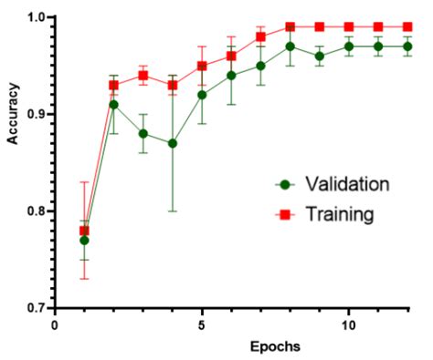 Graph Showing The Validation And Training Accuracy Averaged Over Five