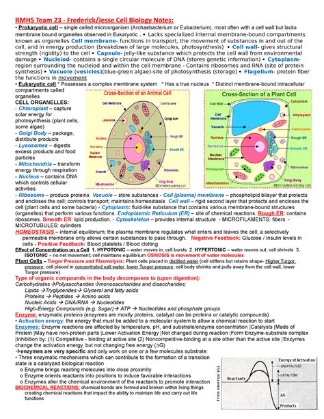 Cell Biology Sci Oly Notes Pager Regional Rmhs Team