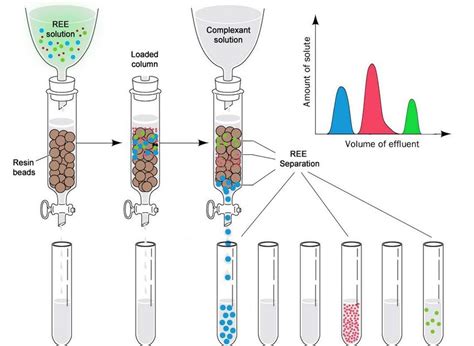 Bridging Hydrometallurgy And Biochemistry A Protein Based 57 OFF