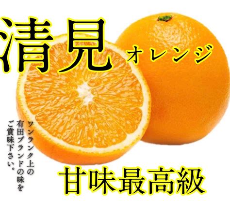 美味しいよ〜 和歌山県 有田産 きよみオレンジ 小玉 10kg｜paypayフリマ