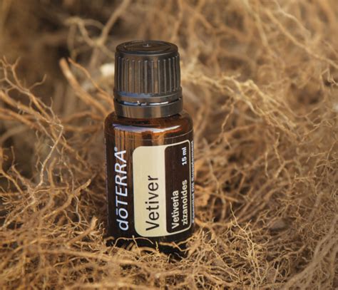 Doterra D Terra Vetiver Essential Oil Ml