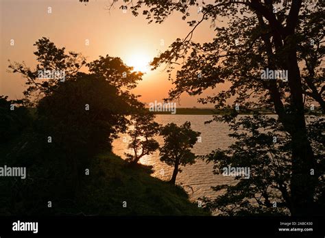Sunset In A Subtropical Wetland In Kaziranga National Park In India