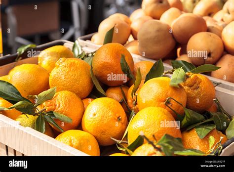 Satsuma Mandarin Oranges Stock Photo Alamy
