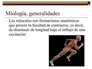 Miologia Ppt