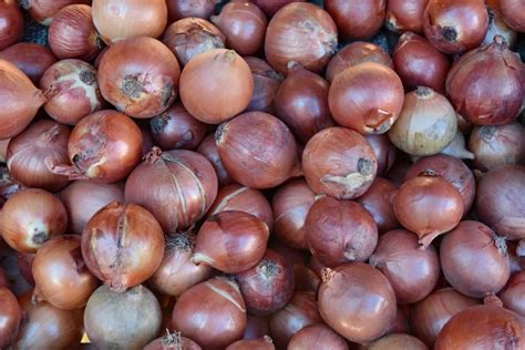 Govt Imposes 40 Export Duty On Onion To Improve Local Supplies