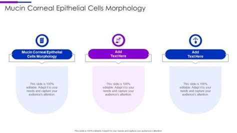 Mucin Corneal Epithelial Cells Morphology Powerpoint Presentation And