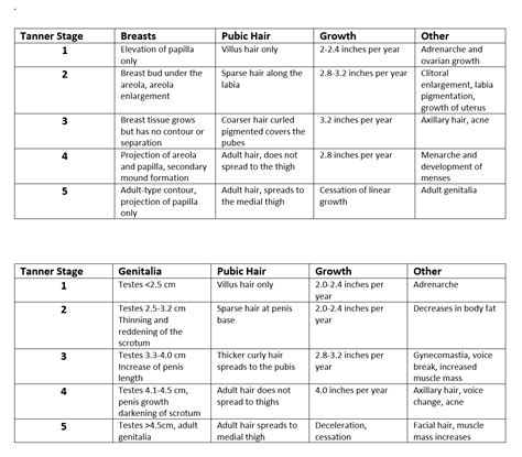 Breast Development Stages Chart