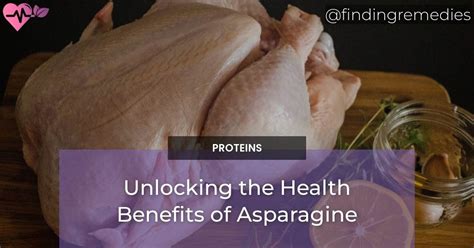 Unlocking the Health Benefits of Asparagine - Finding Remedies