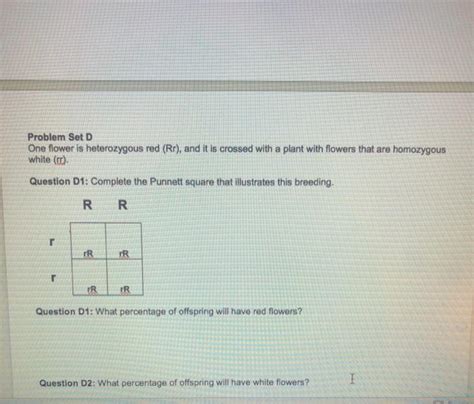 Solved Problem Set C In Humans Brown Eyes B Are Dominant Chegg