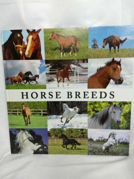 Large Horse Breeds Book By James Kingston 18x18 Inch Size For Sale