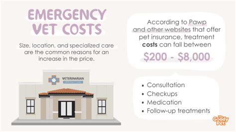 Experts Guide To Emergency Vet Visit Cost Updated 2022 The Goody Pet