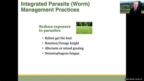 Part Integrated Parasite Management Youtube